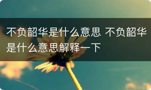 不负韶华是什么意思 不负韶华是什么意思解释一下
