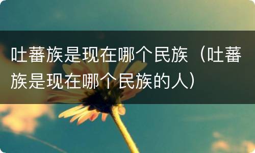 吐蕃族是现在哪个民族（吐蕃族是现在哪个民族的人）