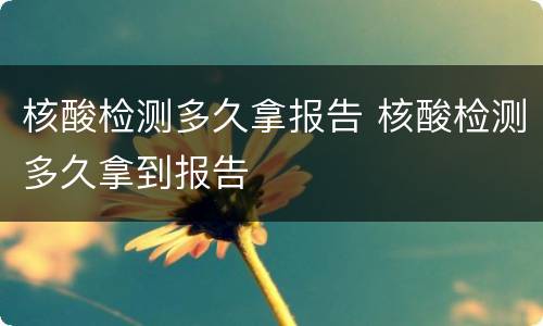 核酸检测多久拿报告 核酸检测多久拿到报告
