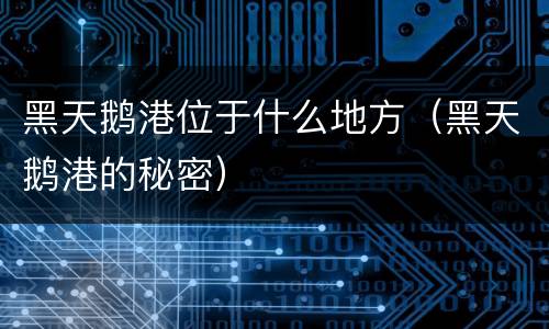 黑天鹅港位于什么地方（黑天鹅港的秘密）