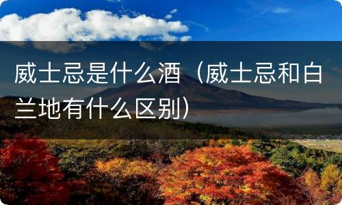 威士忌是什么酒（威士忌和白兰地有什么区别）