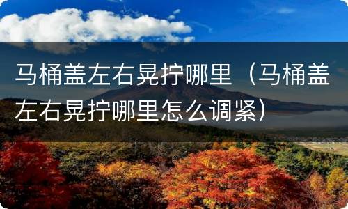 马桶盖左右晃拧哪里（马桶盖左右晃拧哪里怎么调紧）