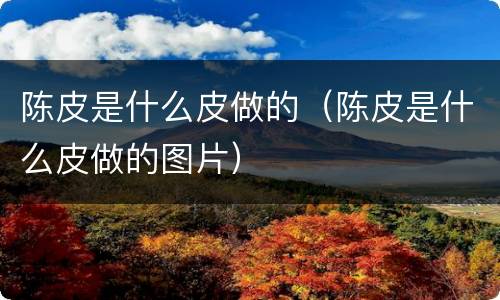 陈皮是什么皮做的（陈皮是什么皮做的图片）