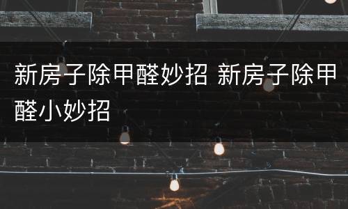 新房子除甲醛妙招 新房子除甲醛小妙招