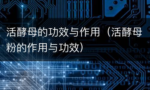 活酵母的功效与作用（活酵母粉的作用与功效）