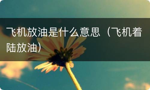 飞机放油是什么意思（飞机着陆放油）