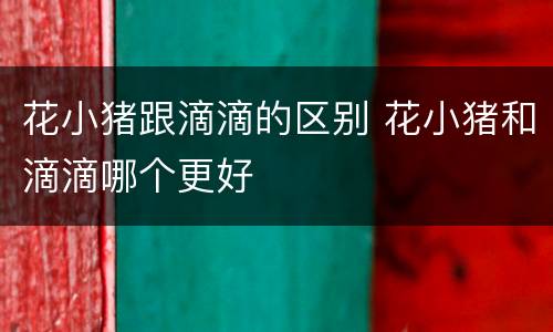 花小猪跟滴滴的区别 花小猪和滴滴哪个更好