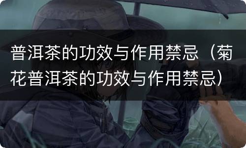 普洱茶的功效与作用禁忌（菊花普洱茶的功效与作用禁忌）