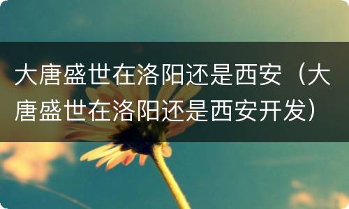 大唐盛世在洛阳还是西安（大唐盛世在洛阳还是西安开发）