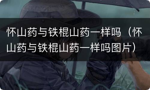 怀山药与铁棍山药一样吗（怀山药与铁棍山药一样吗图片）