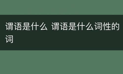 谓语是什么 谓语是什么词性的词