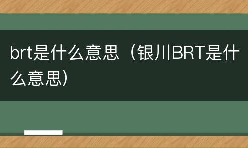 brt是什么意思（银川BRT是什么意思）