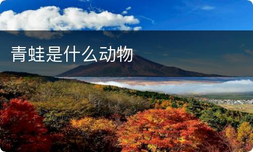 青蛙是什么动物