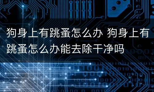 狗身上有跳蚤怎么办 狗身上有跳蚤怎么办能去除干净吗