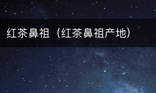 红茶鼻祖（红茶鼻祖产地）