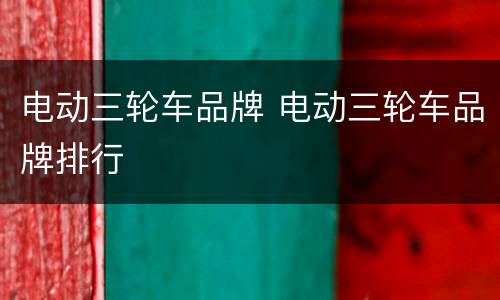 电动三轮车品牌 电动三轮车品牌排行