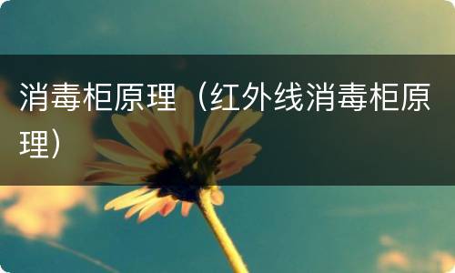 消毒柜原理（红外线消毒柜原理）