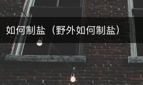 如何制盐（野外如何制盐）