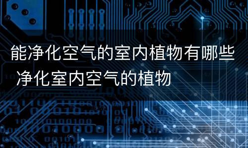 能净化空气的室内植物有哪些 净化室内空气的植物