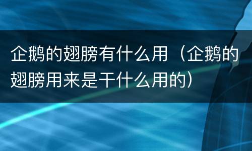 企鹅的翅膀有什么用（企鹅的翅膀用来是干什么用的）