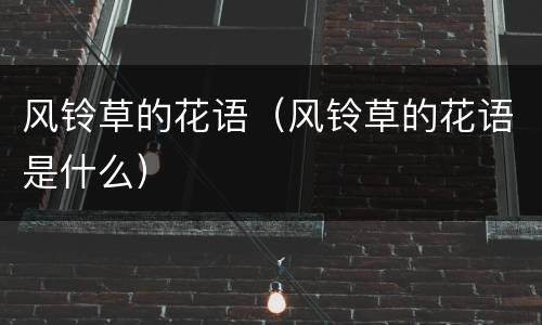 风铃草的花语（风铃草的花语是什么）