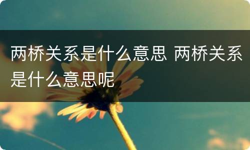 两桥关系是什么意思 两桥关系是什么意思呢