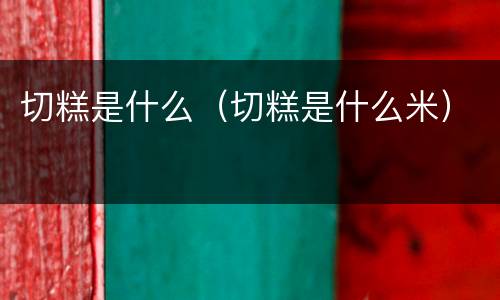 切糕是什么（切糕是什么米）