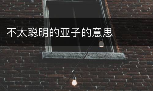不太聪明的亚子的意思