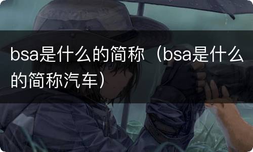 bsa是什么的简称（bsa是什么的简称汽车）