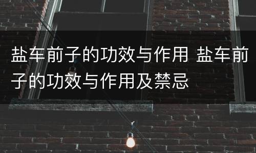 盐车前子的功效与作用 盐车前子的功效与作用及禁忌