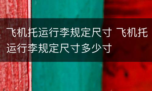飞机托运行李规定尺寸 飞机托运行李规定尺寸多少寸