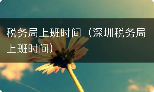 税务局上班时间（深圳税务局上班时间）