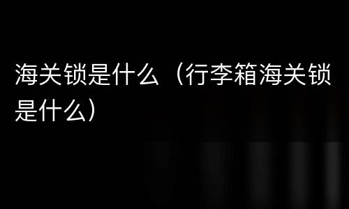 海关锁是什么（行李箱海关锁是什么）