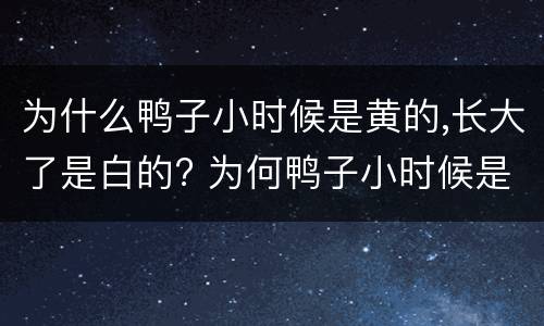 为什么鸭子小时候是黄的,长大了是白的? 为何鸭子小时候是黄的,长大了是白的?