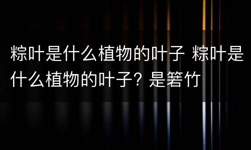 粽叶是什么植物的叶子 粽叶是什么植物的叶子? 是箬竹