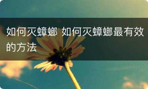 如何灭蟑螂 如何灭蟑螂最有效的方法