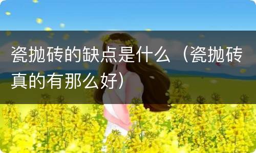 瓷抛砖的缺点是什么（瓷抛砖真的有那么好）