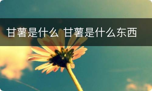 甘薯是什么 甘薯是什么东西