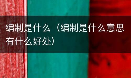 编制是什么（编制是什么意思有什么好处）