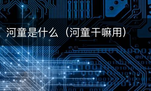 河童是什么（河童干嘛用）
