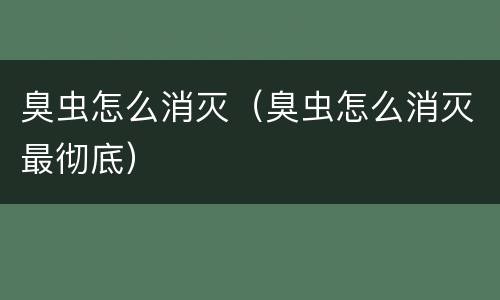 臭虫怎么消灭（臭虫怎么消灭最彻底）