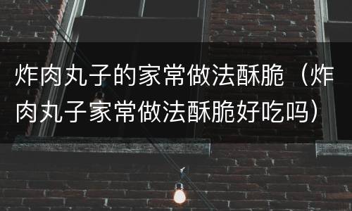 炸肉丸子的家常做法酥脆（炸肉丸子家常做法酥脆好吃吗）