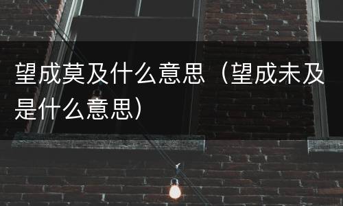 望成莫及什么意思（望成未及是什么意思）