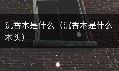 沉香木是什么（沉香木是什么木头）