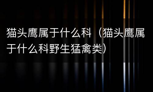 猫头鹰属于什么科（猫头鹰属于什么科野生猛禽类）