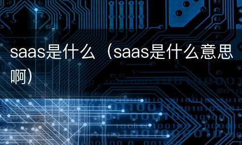 saas是什么（saas是什么意思啊）