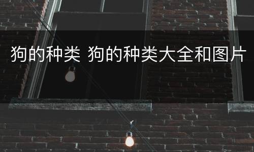 狗的种类 狗的种类大全和图片