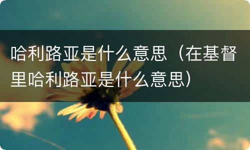 哈利路亚是什么意思（在基督里哈利路亚是什么意思）