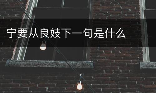 宁要从良妓下一句是什么