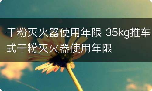 干粉灭火器使用年限 35kg推车式干粉灭火器使用年限